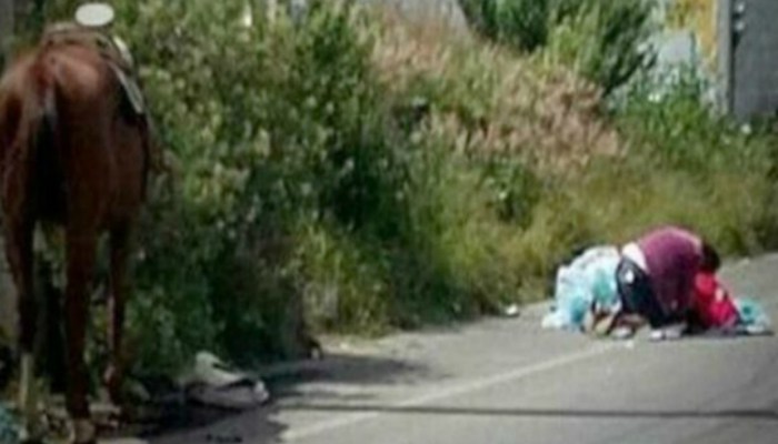 temp_nota_01_45600_17_20160801124825_11700-600x401