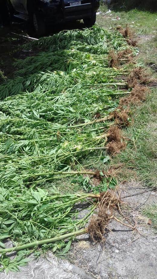 43eb7af9-da93-4742-baf6-6d691503c07b