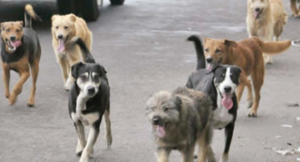 captura-de-pantalla-2016-09-11-a-las-23-28-23