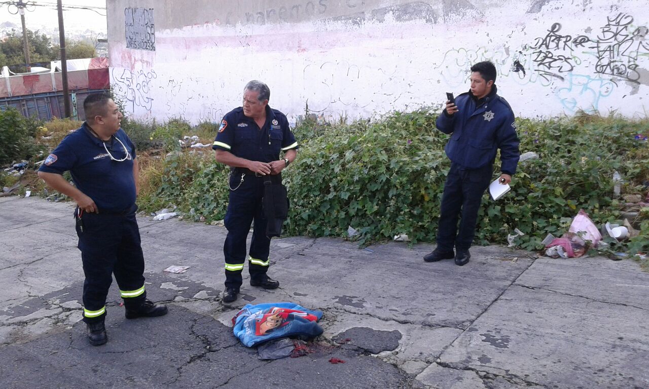 whatsapp-image-2016-09-22-at-17-04-02