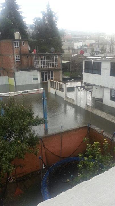 WhatsApp Image 2016-sss09-02 at 20.31.42 (1)