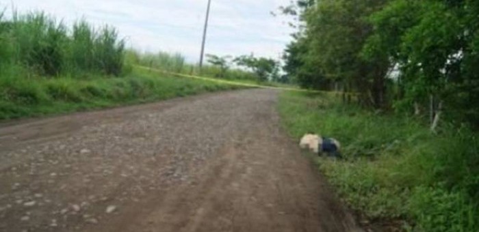 uploads_posts_07b201e64a94e4769ac62f833c03ba15-700x340