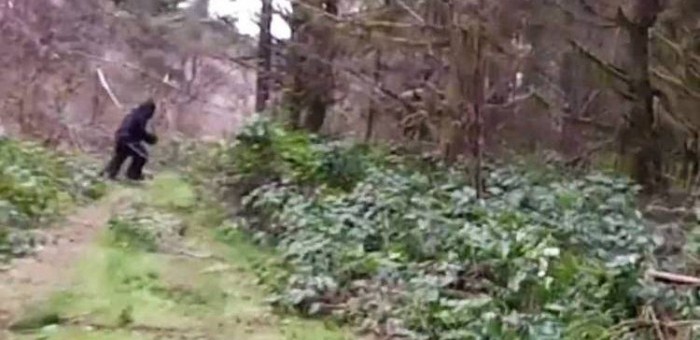 uploads_posts_1f1f01a5c2ac9f34664ebebd68c23fa7-700x340