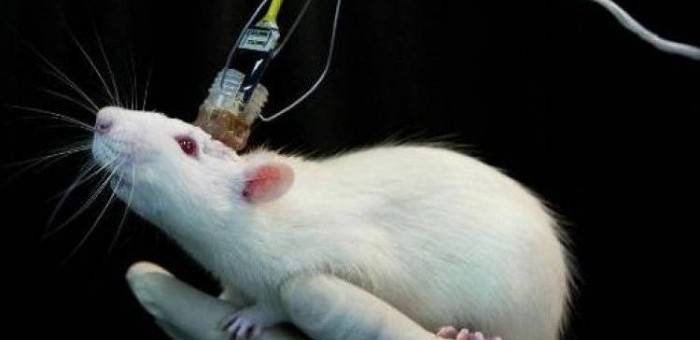 uploads_posts_84925929340c83477c7f211394d5c5ba-700x340