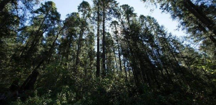 uploads_posts_8b4f3674178074927ec96e7aaa9f056d-700x340