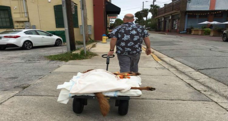 0fd488e3ddb0fa96f7891d72bf0a210c