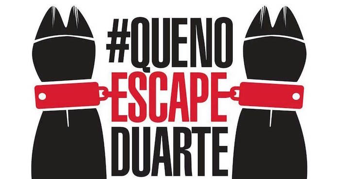 14697213_1160583400695775_1091419275_o