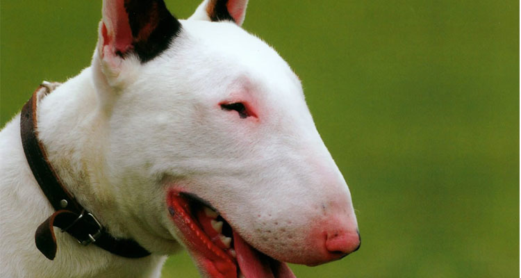 186ff7343ef4329429485d07405a216e