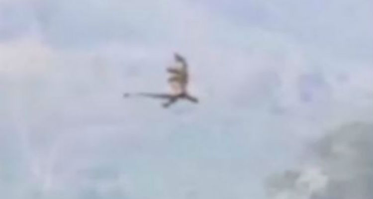 71aa30fd3ae3ac541b43ecc15cda1fed