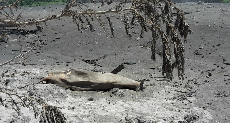 926685f8a079d0a62f6411d164c9013a