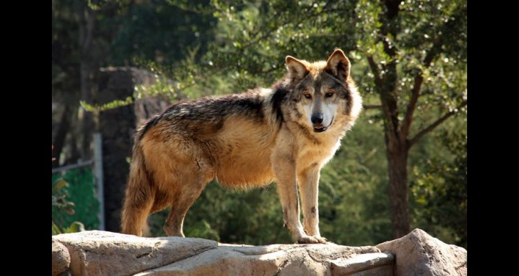 9513ea209bee5ff1f8dda92d259b68aa