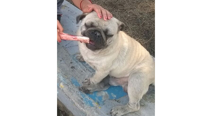 captura-de-pantalla-2016-10-13-a-las-6_43_39-p_m_