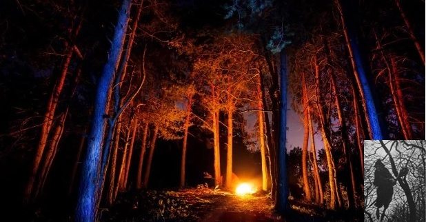fuego-bosque-noche