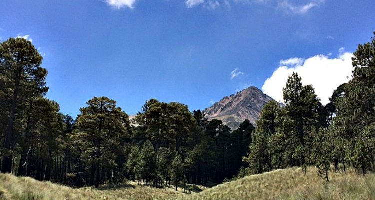 b8c22bb787a6e3a08d8ffd0cb211dc3e