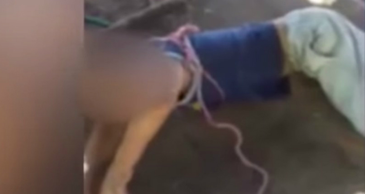 c2a8308dd6c0234ddc5aebbe5d4d97d4