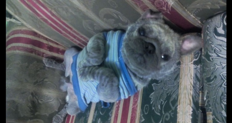 c48e97a87d42fb31e218ddcbf3147579