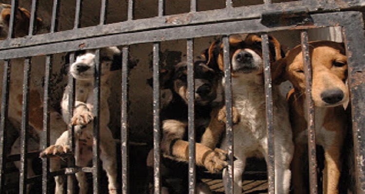 c4a31201730833942745ae7ef2bfee66