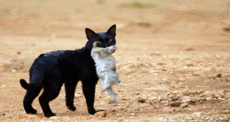 c7f0d0beb00a16fd48a5573b9087b52e-2