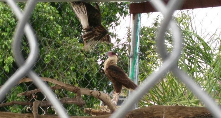 dc4ba75510d107003c422f69b1ce44a2