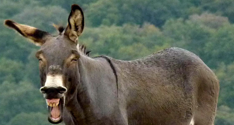 deb32d285709953cd6aab0058baec879