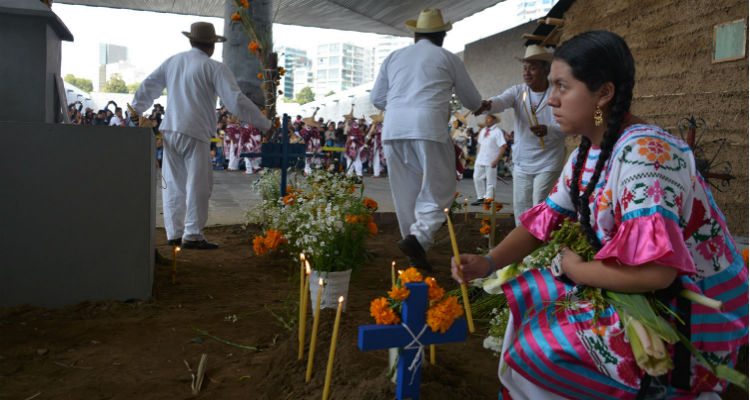 f8d8607c0c3dd13740711e9f66b94d65