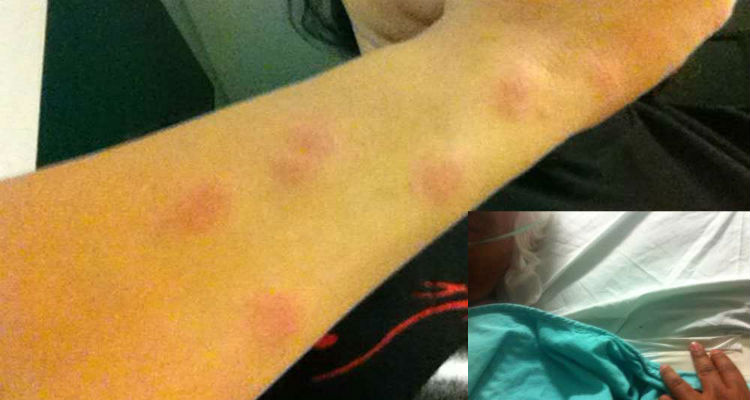 037d4e55b48b13b4ddb498a3b4c4dda2