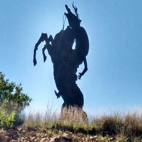 11900055_492773824214629_6825815174946591499_n