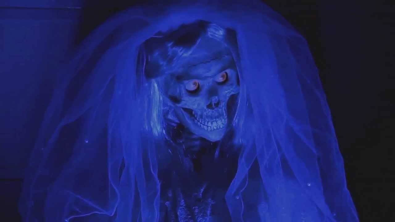 14708037_663951983763478_1286469010426965009_o