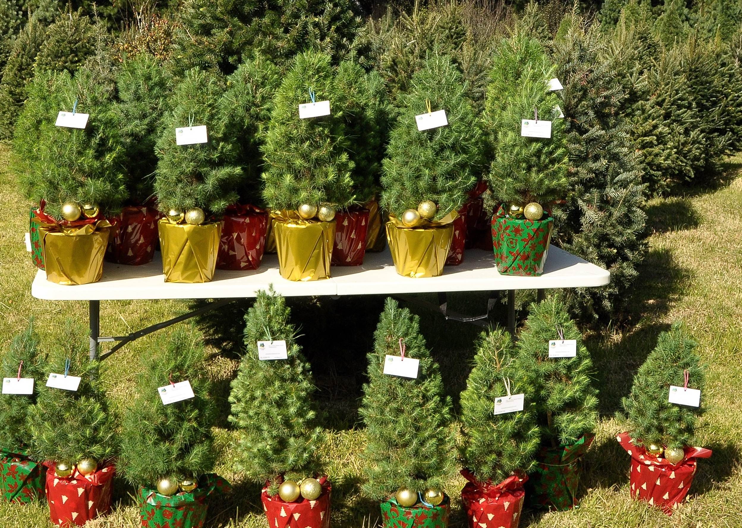 15b2376e-0942-4748-ab5c-9df47b2dca4d