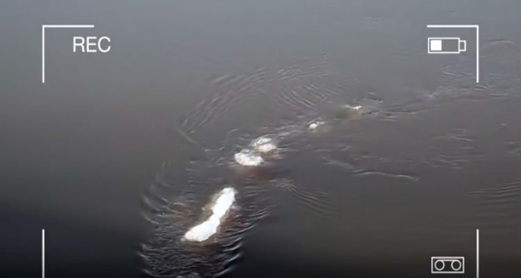 17ced46eb61ad0e9418d6d863df7366c