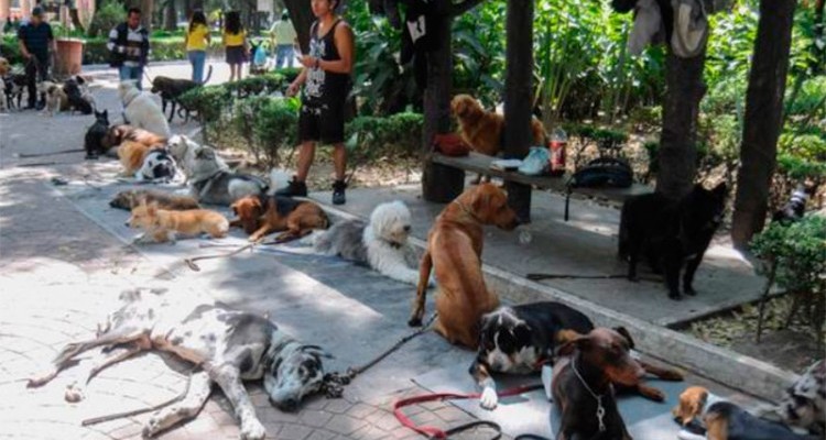 2c30d894a1db5a7308d988010bcec3fc