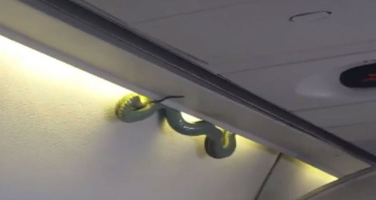 45264deb7e917ff9282c60e551885d35