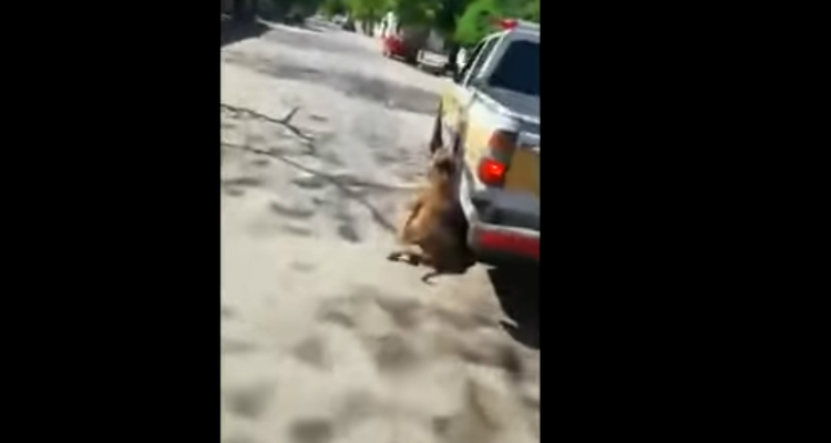 5a2f8dcd707ead88c26f73ae1f0f80f8