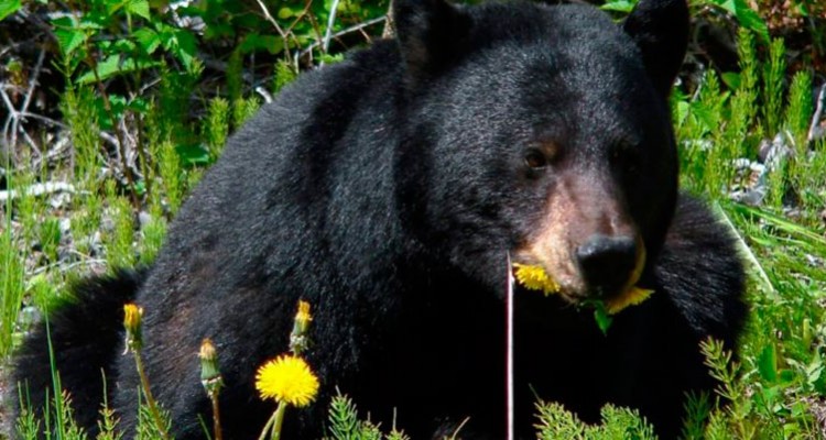 7656f174977203f780e786eb8111c2a6