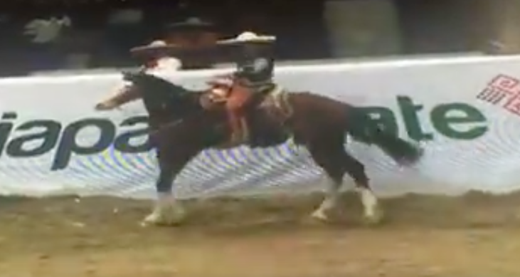 captura-de-pantalla-2016-11-07-a-las-9-14-58