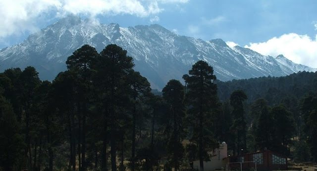 nevado-toluca-bosques-medio-ambiente-pinos