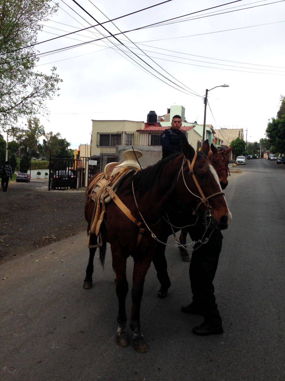 whatsapp-image-2016-10-31-at-19-35-33