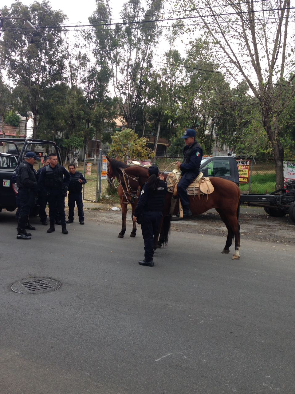 whatsapp-image-2016-10-31-at-19-35-34-1