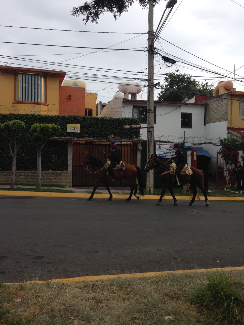 whatsapp-image-2016-10-31-at-19-35-34