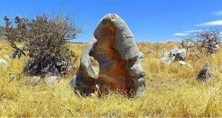 b6d732f4c7ab247348af7b8df44f4fea