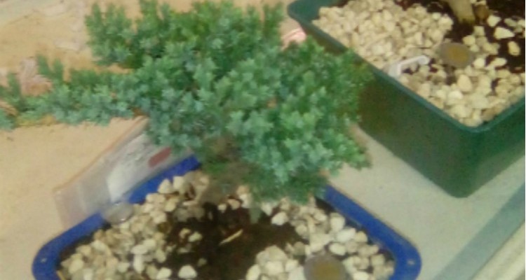 d43d4b2963d064576bd35e4ed5cdce3f