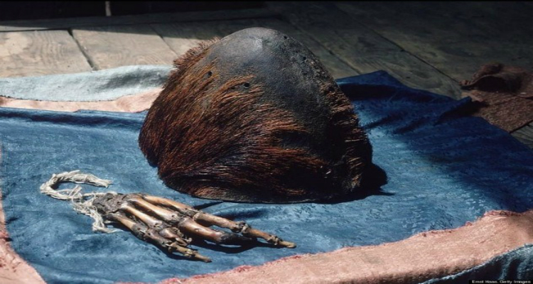 f5f38c2a882d9c230cb9f21bff9534fd