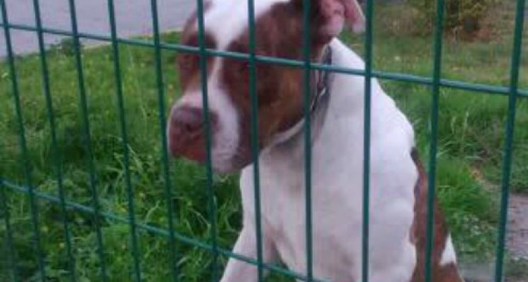 88c16698c6ce7959258a6d027bbe4bcb