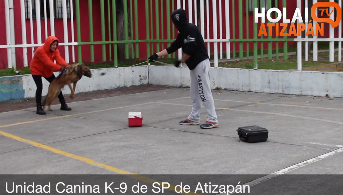 captura-de-pantalla-2016-12-05-a-las-16-50-11